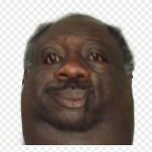 Meet your Posher, Owen